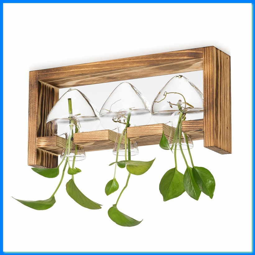 Propagation Station Vase - Glazen kweekstation voor planten: vintage vazen