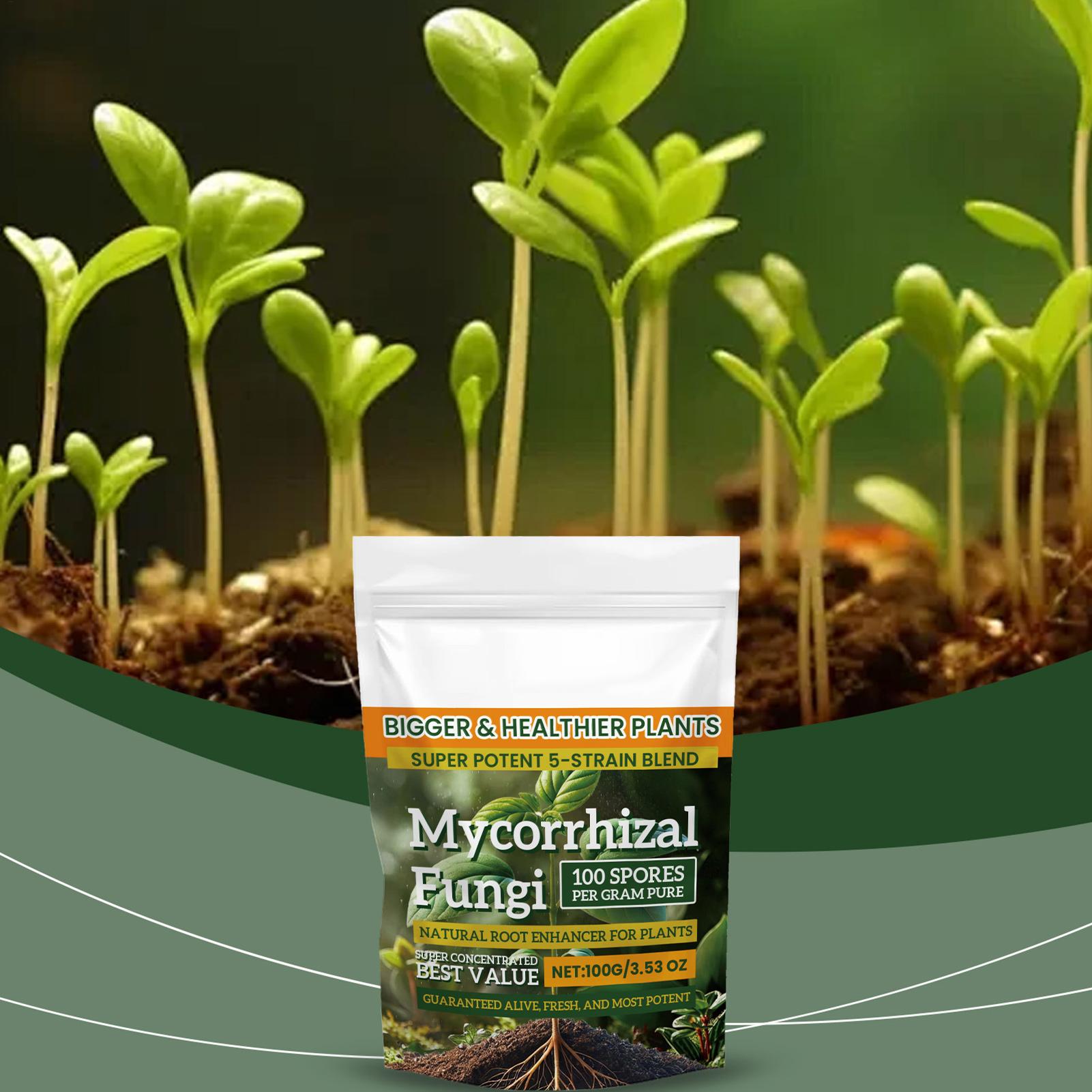 Nieuw Plantenvoedingspoeder 10 - Rooting Hormone Powder recensie en prijs