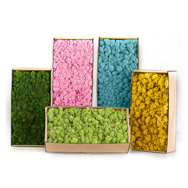 Kunstmatige Groene Planten Min - Sphagnum Moss Dry recensie en prijs