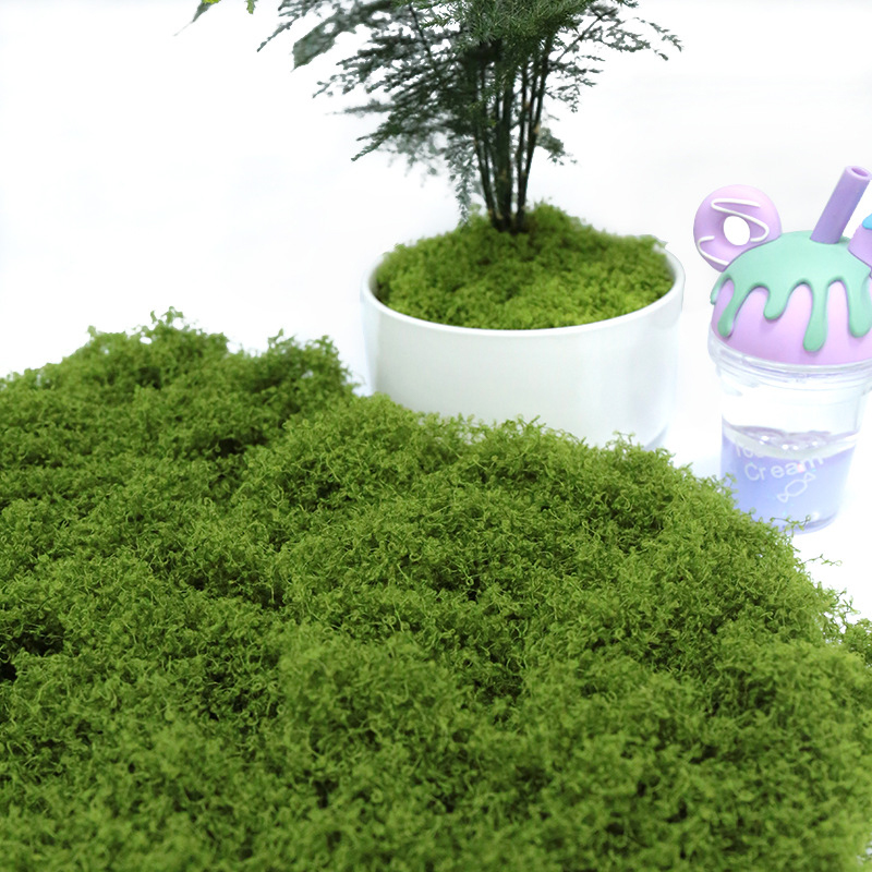 【P】50g nepmos DIY knutselwerk  - Sphagnum Moss Dry recensie en prijs