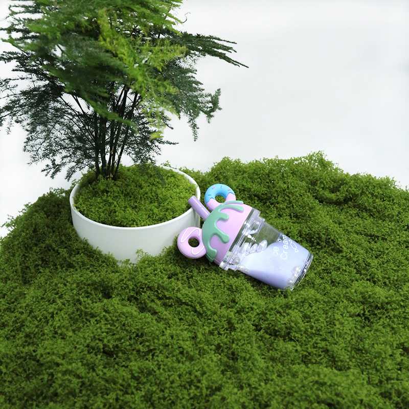 【P】50g nepmos DIY knutselwerk  - Sphagnum Moss Dry recensie en prijs