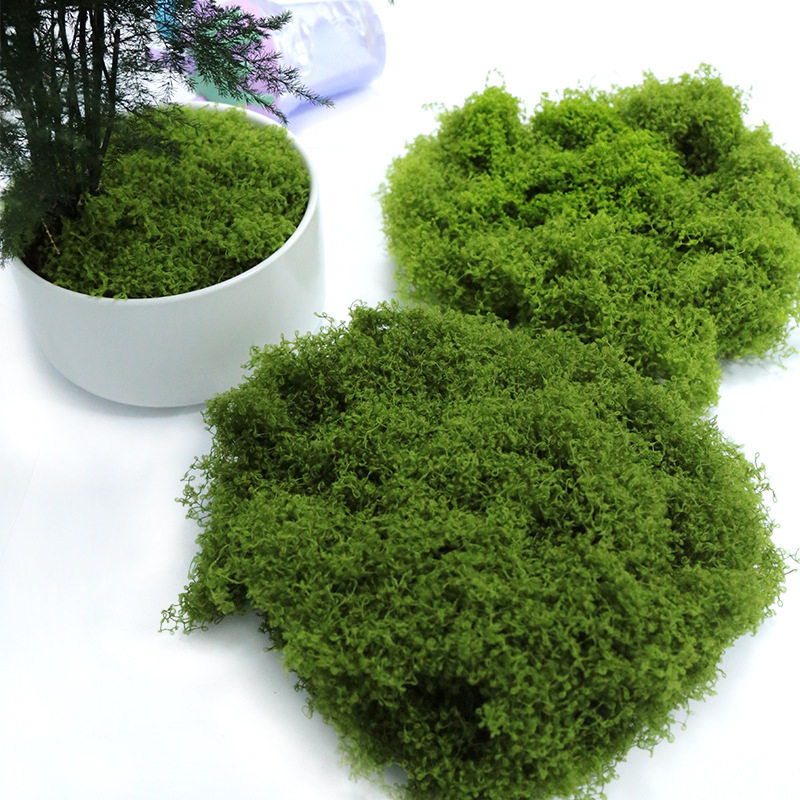 【P】50g nepmos DIY knutselwerk  - Sphagnum Moss Dry recensie en prijs
